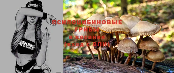 мескалин Абаза