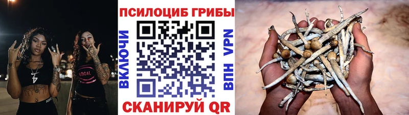 наркота  Луга  Псилоцибиновые грибы мухоморы 