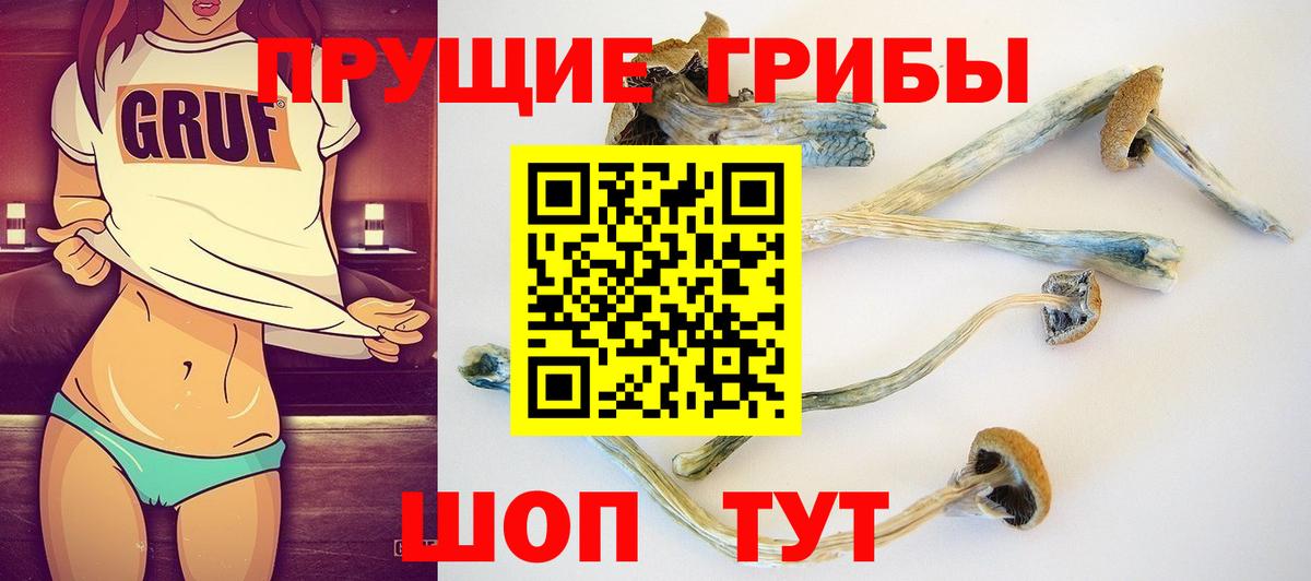 Галлюциногенные грибы мицелий Луга