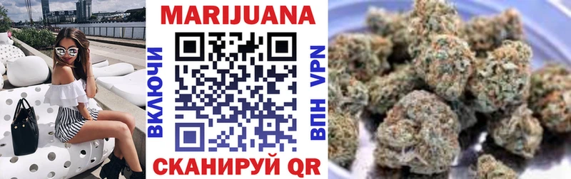 купить  цена  Луга  Каннабис план 